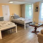 Zur Goldenen Traube Apartment Ruedesheim am Rhein