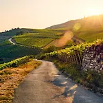 Zur Goldenen Traube * Ruedesheim am Rhein