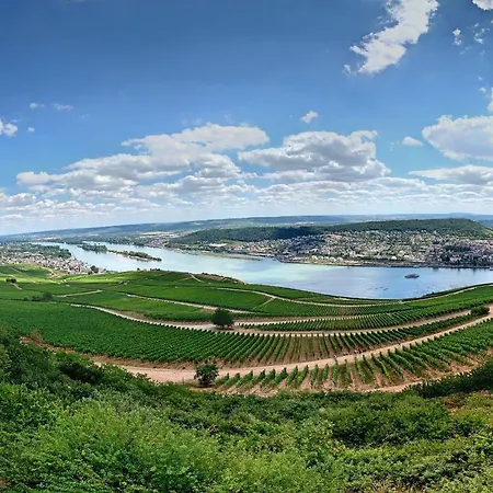 Zur Goldenen Traube Appartement *