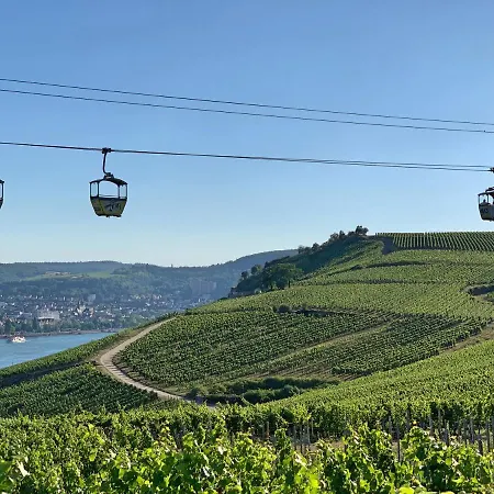 Zur Goldenen Traube * Ruedesheim am Rhein