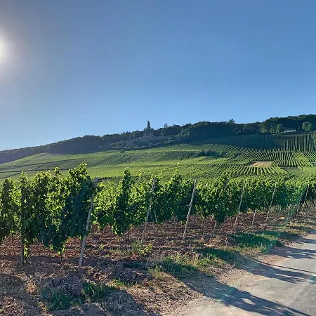 Zur Goldenen Traube * Ruedesheim am Rhein