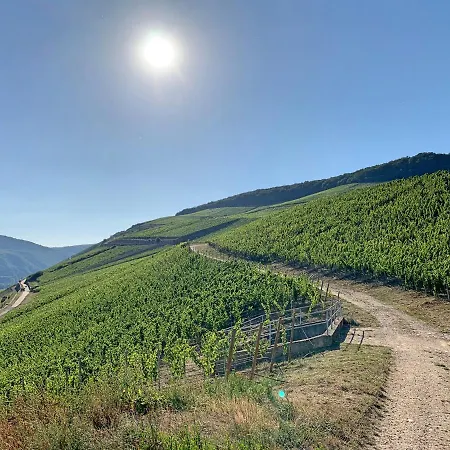Zur Goldenen Traube Lägenhet Rüdesheim am Rhein