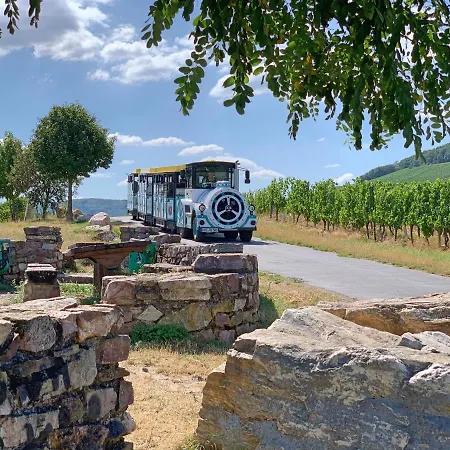 Zur Goldenen Traube Apartman *