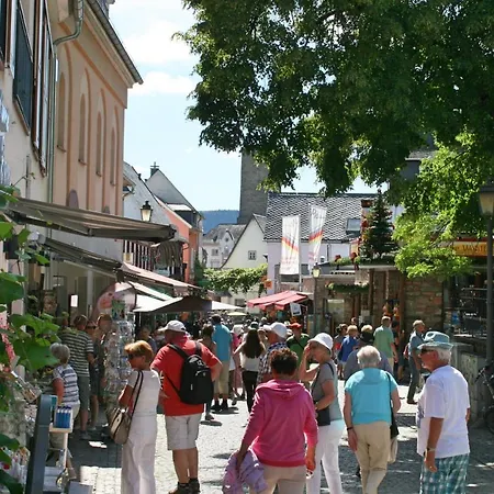 Apartment Zur Goldenen Traube Ruedesheim am Rhein