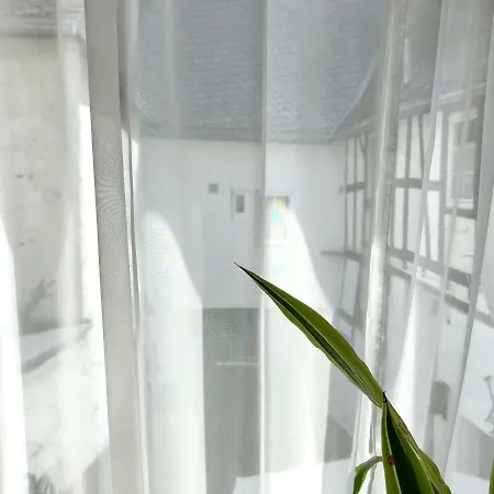 Appartement Zur Goldenen Traube *