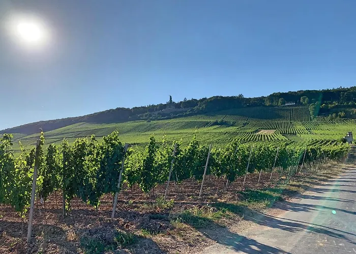 Zur Goldenen Traube * Ruedesheim am Rhein