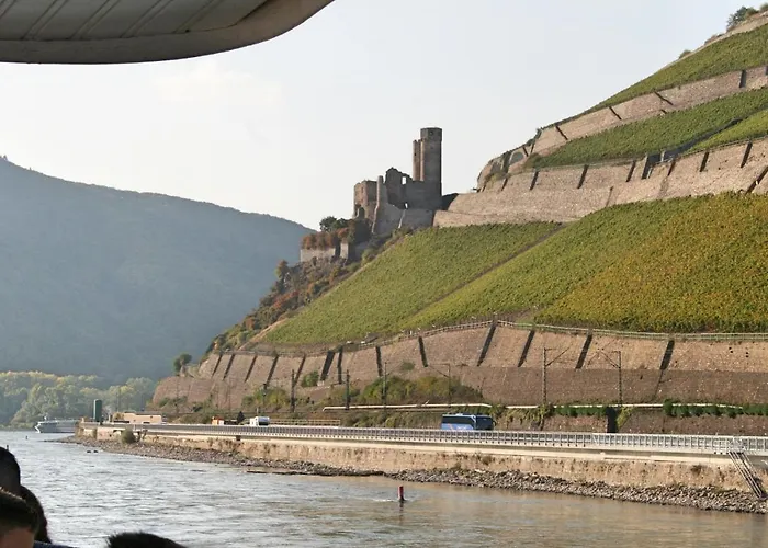 Zur Goldenen Traube アパート リューデスハイム・アム・ライン