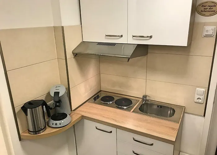 Zur Goldenen Traube Apartment