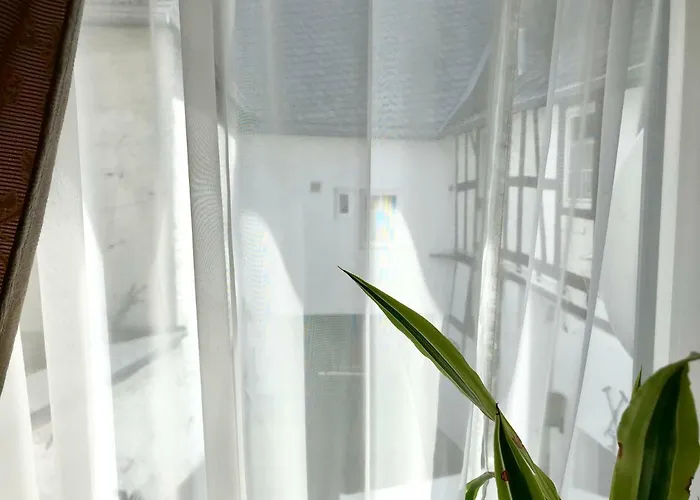 Apartment Zur Goldenen Traube *